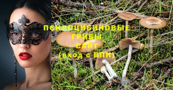 тгк Алексеевка